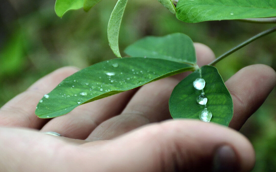 Chemical Education Initiatives